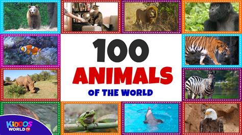 100 Animals of the World .